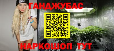 стаф Кунгур