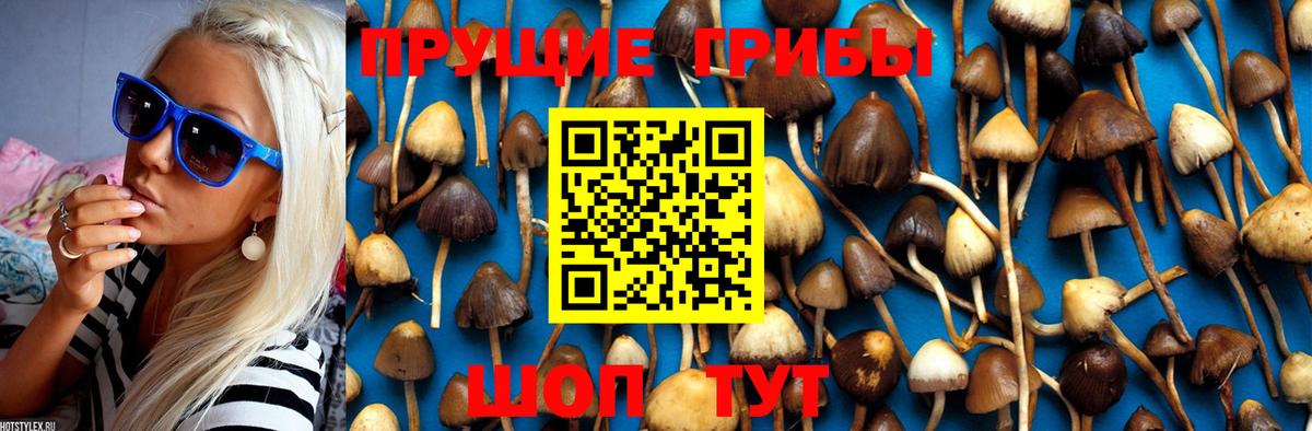 Галлюциногенные грибы мухоморы  Вход с VPN  Галлюциногенные грибы Psilocybe  Ипатово 