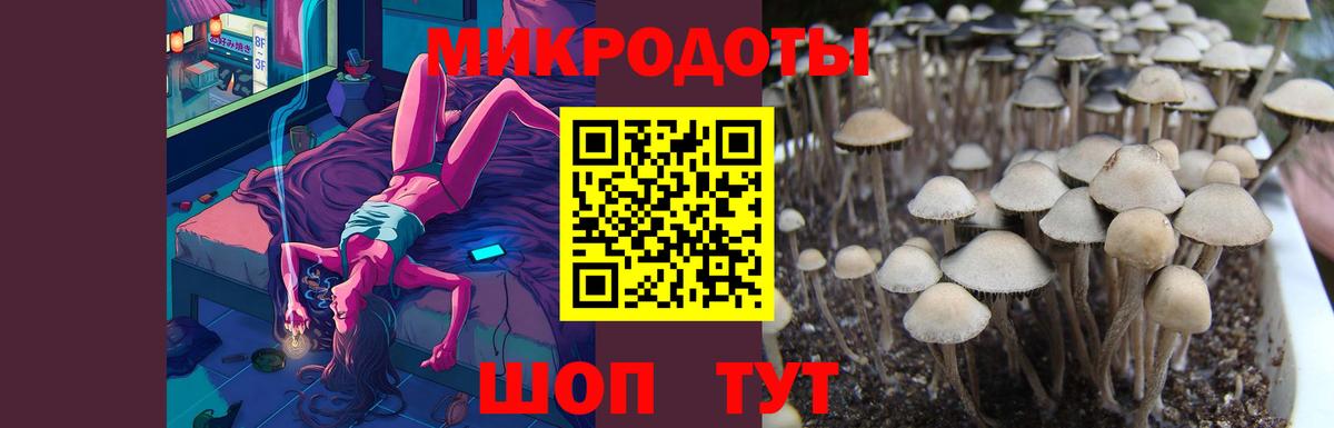 Псилоцибиновые грибы MAGIC MUSHROOMS Ипатово
